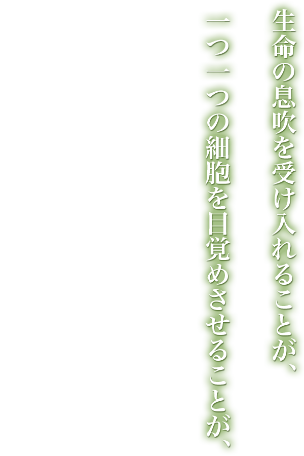 一つ一つの細胞を目覚めさせることが