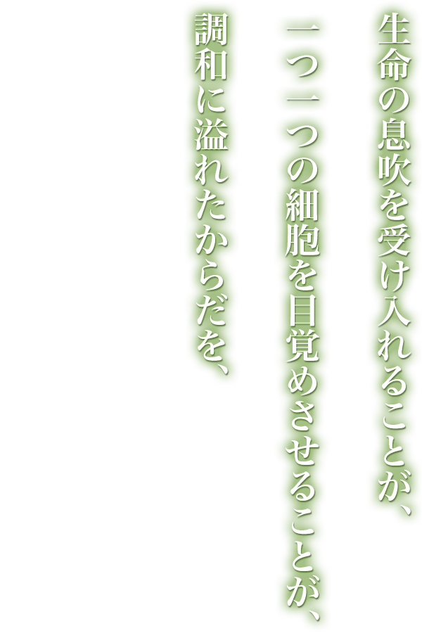 調和に溢れた体を