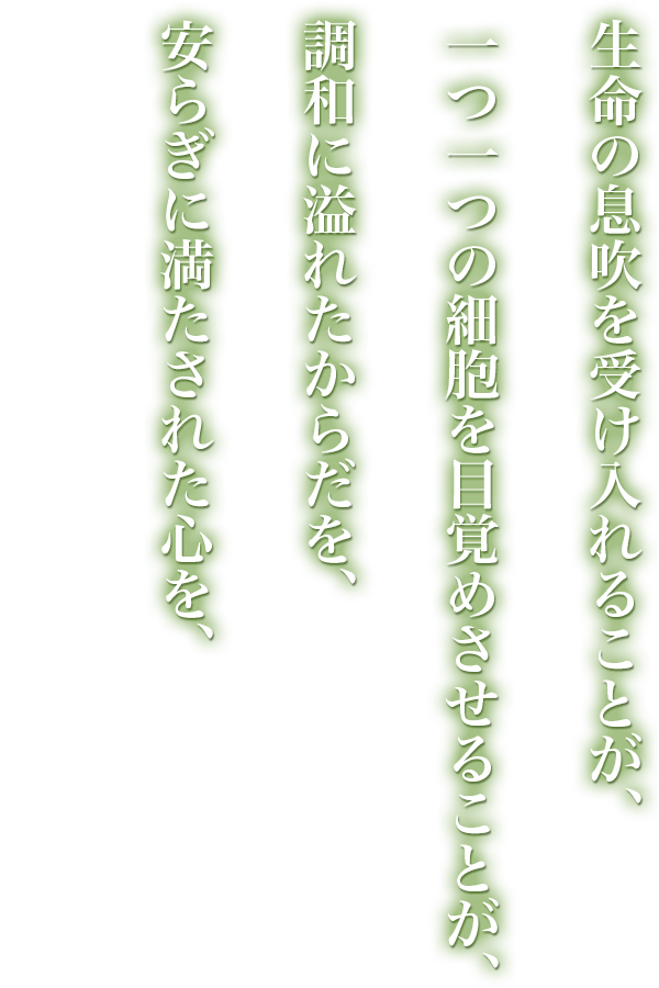 安らぎに満たされた心を